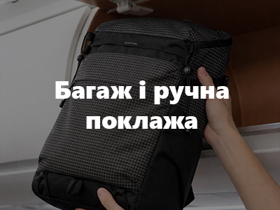 Багаж і ручна поклажа